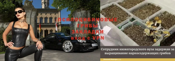 дживик Алексин
