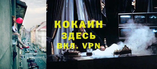 дживик Алексин