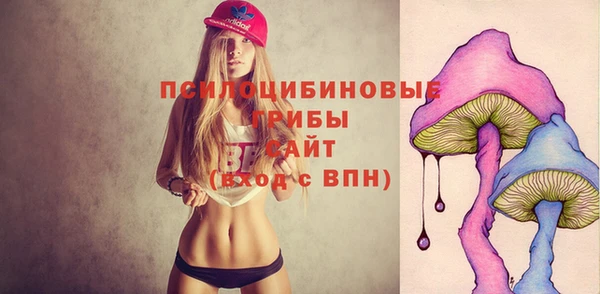 МДПВ Алексеевка