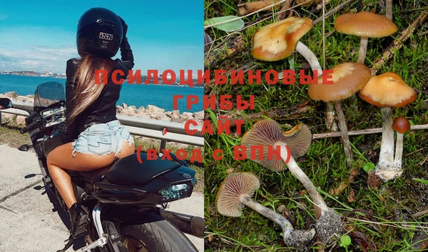 МДПВ Алексеевка